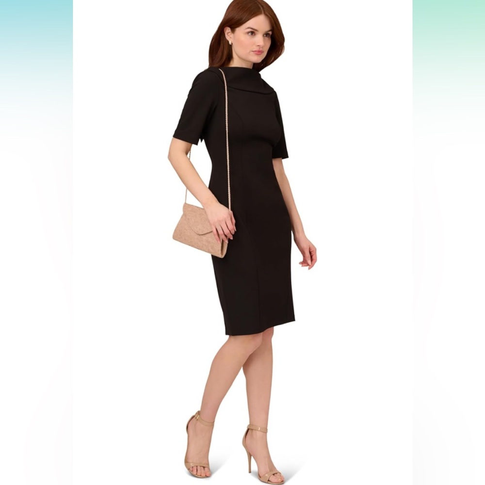 Adrianna Papell Women's Roll Neck Sheath with V Back